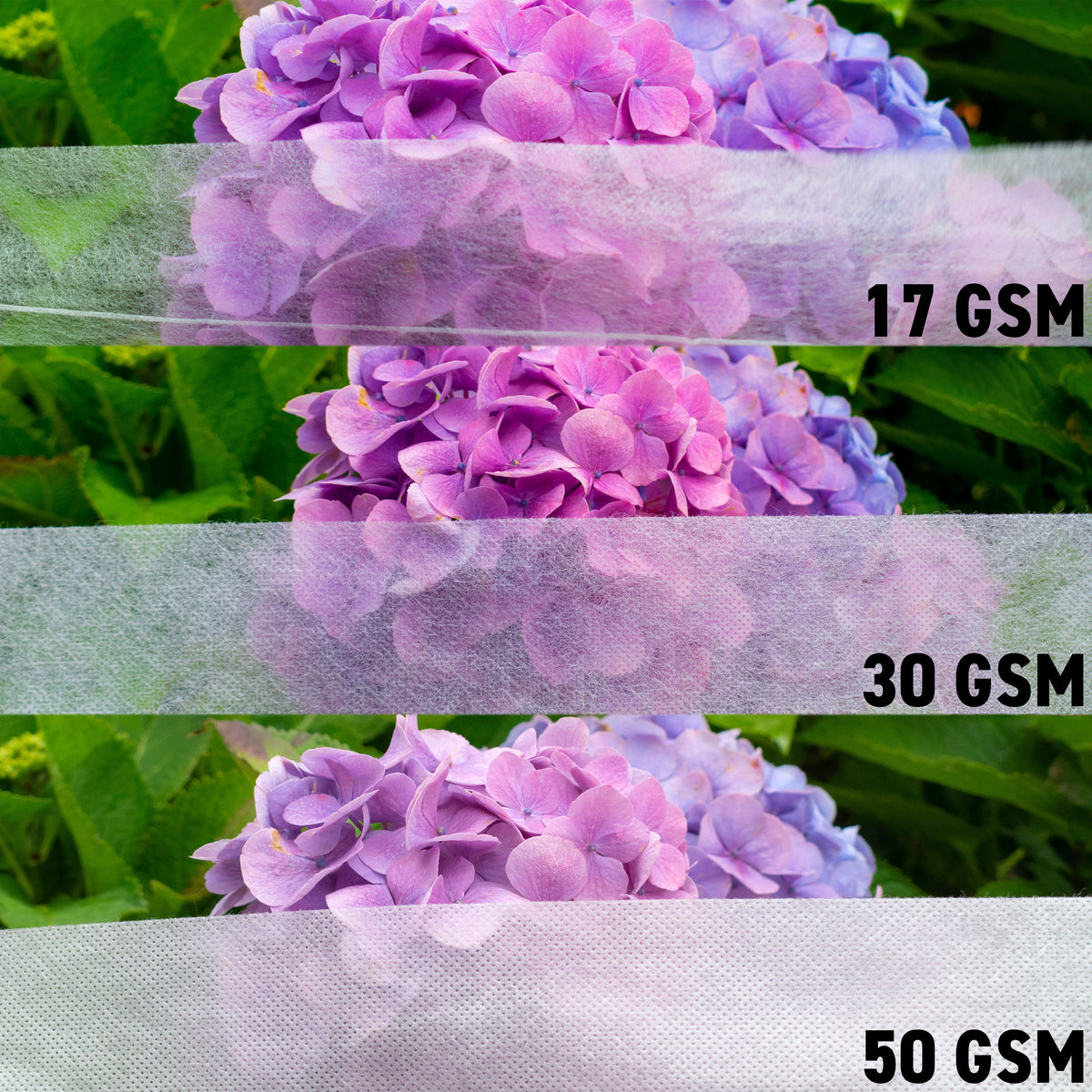 30gsm Non-Woven Frost Protection Fleece 1.6m x 10m