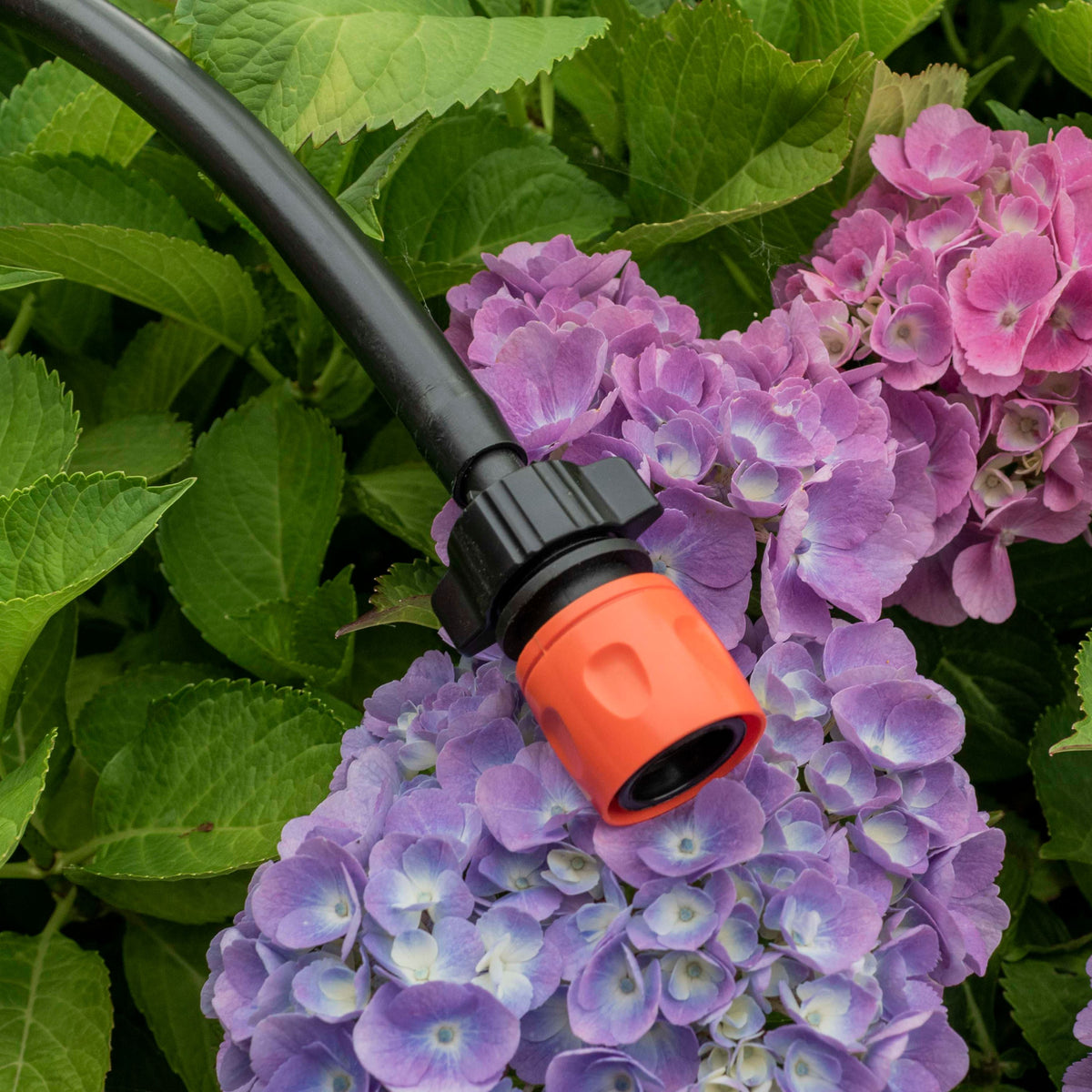 Irrigation 1/2" Barb to Female Hosepipe Quick Connector, Black
