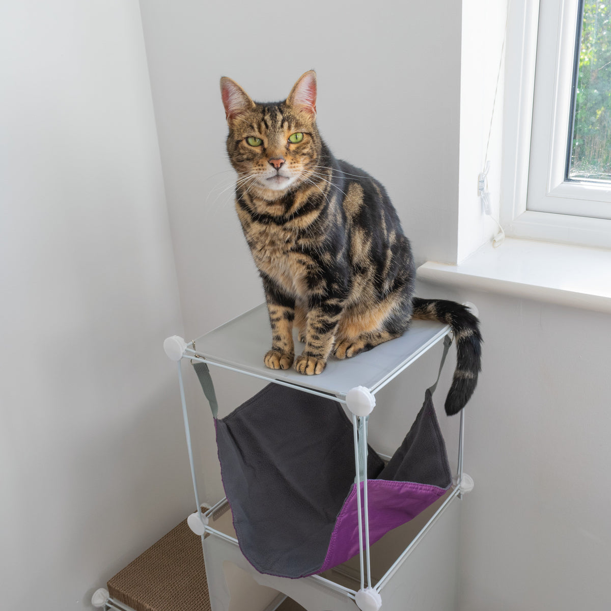 Grey Kitty Cubby Cat Cube Buildable Play Tower, Medium