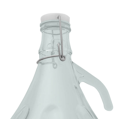 5L Clear Glass Demijohn Bottle with Swing-top Cap, Box of 4