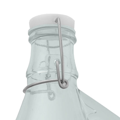 5L Clear Glass Demijohn Bottle with Swing-top Cap, Box of 6