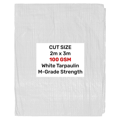 2m x 3m White 100gsm Tarpaulin