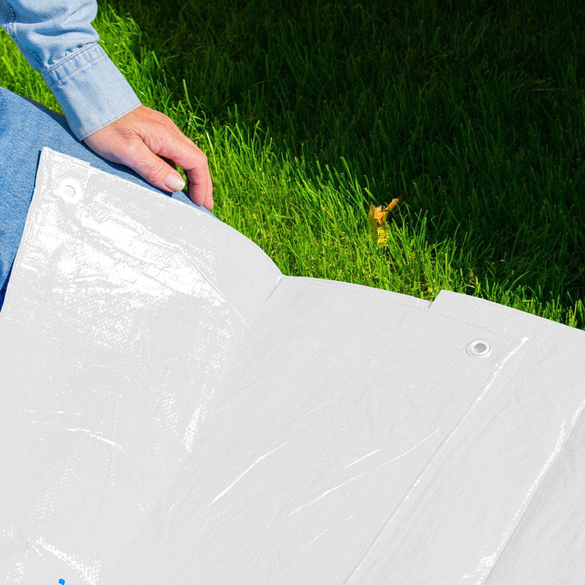 2m x 2m White 100gsm Tarpaulin