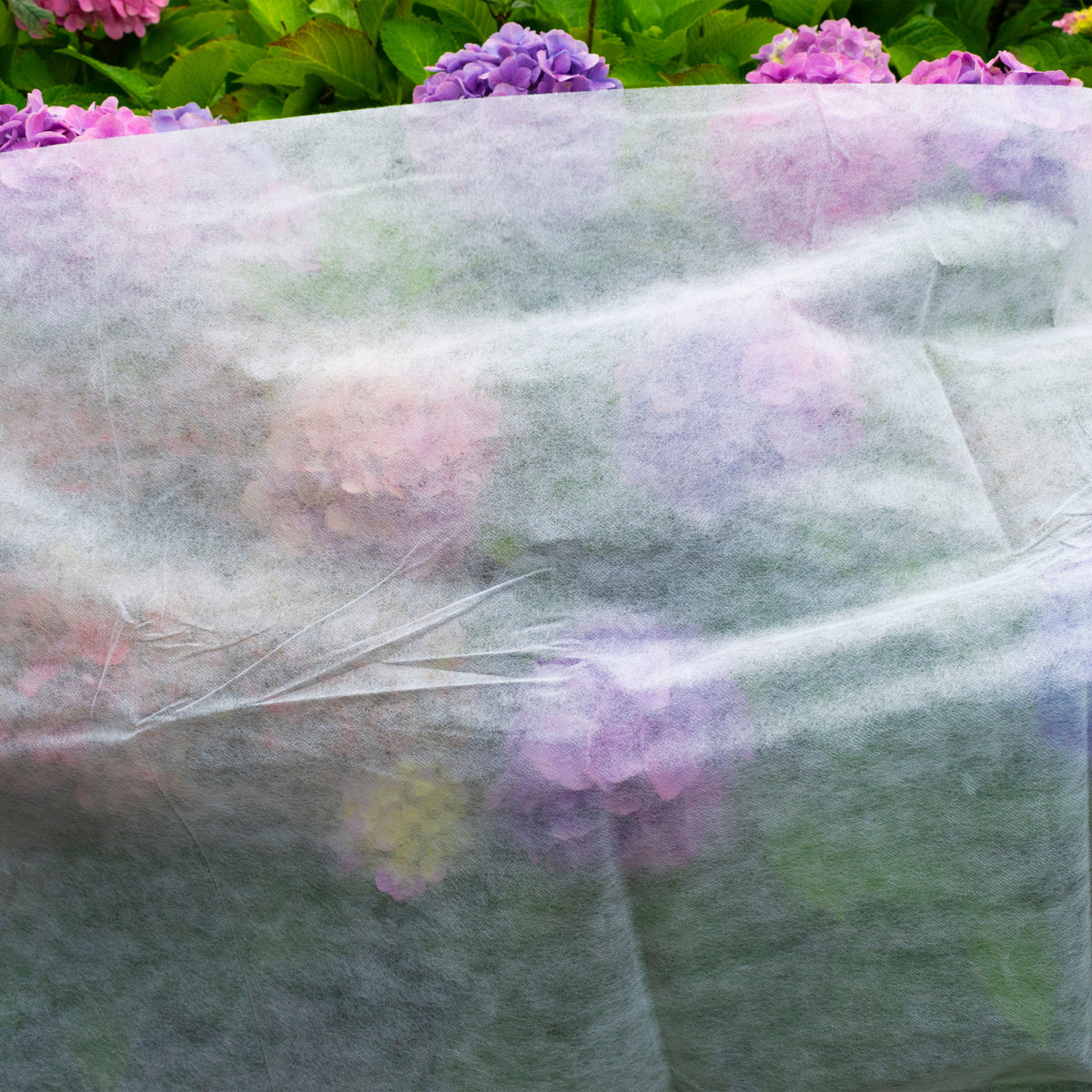 30gsm Non-Woven Frost Protection Fleece 1.6m x 5m