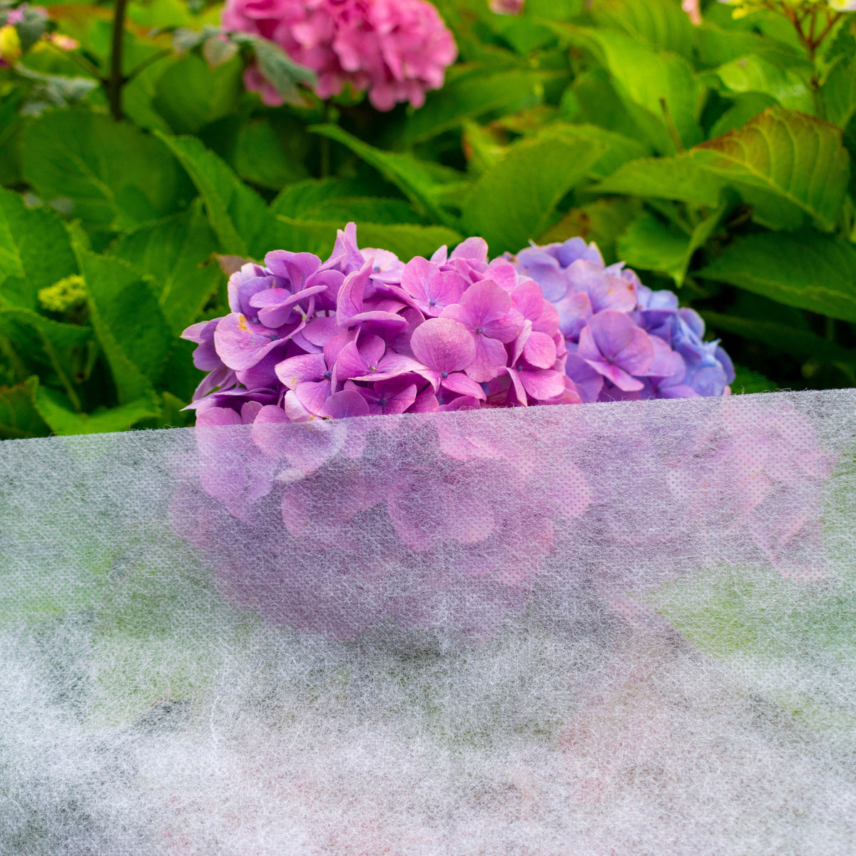 30gsm Non-Woven Frost Protection Fleece 1.6m x 10m